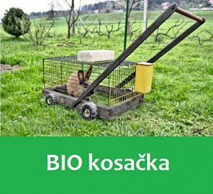 biokosacka.jpg