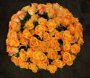 flowers-2132205__340ruze.jpg