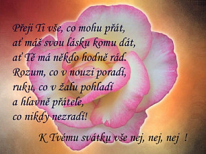 prani_k_svatku_001.jpg