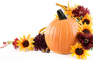 pumpkin_flower2.jpg