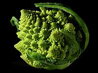 romanesco.jpg