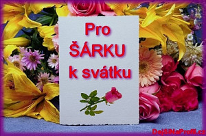 sarkasavtek_311745222.jpg