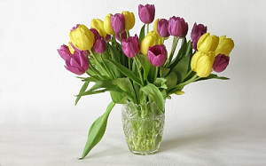 tulipany_580893413.jpg