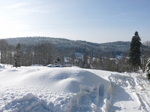 zimni_maxov_24.1.2010_007_1189914331.jpg